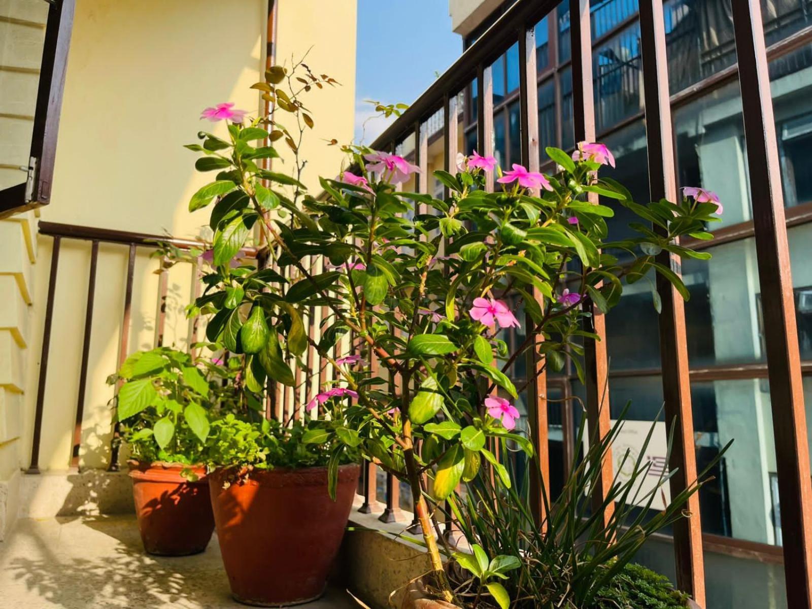 Holy Land Hotel Nepal Kathmandu Ngoại thất bức ảnh